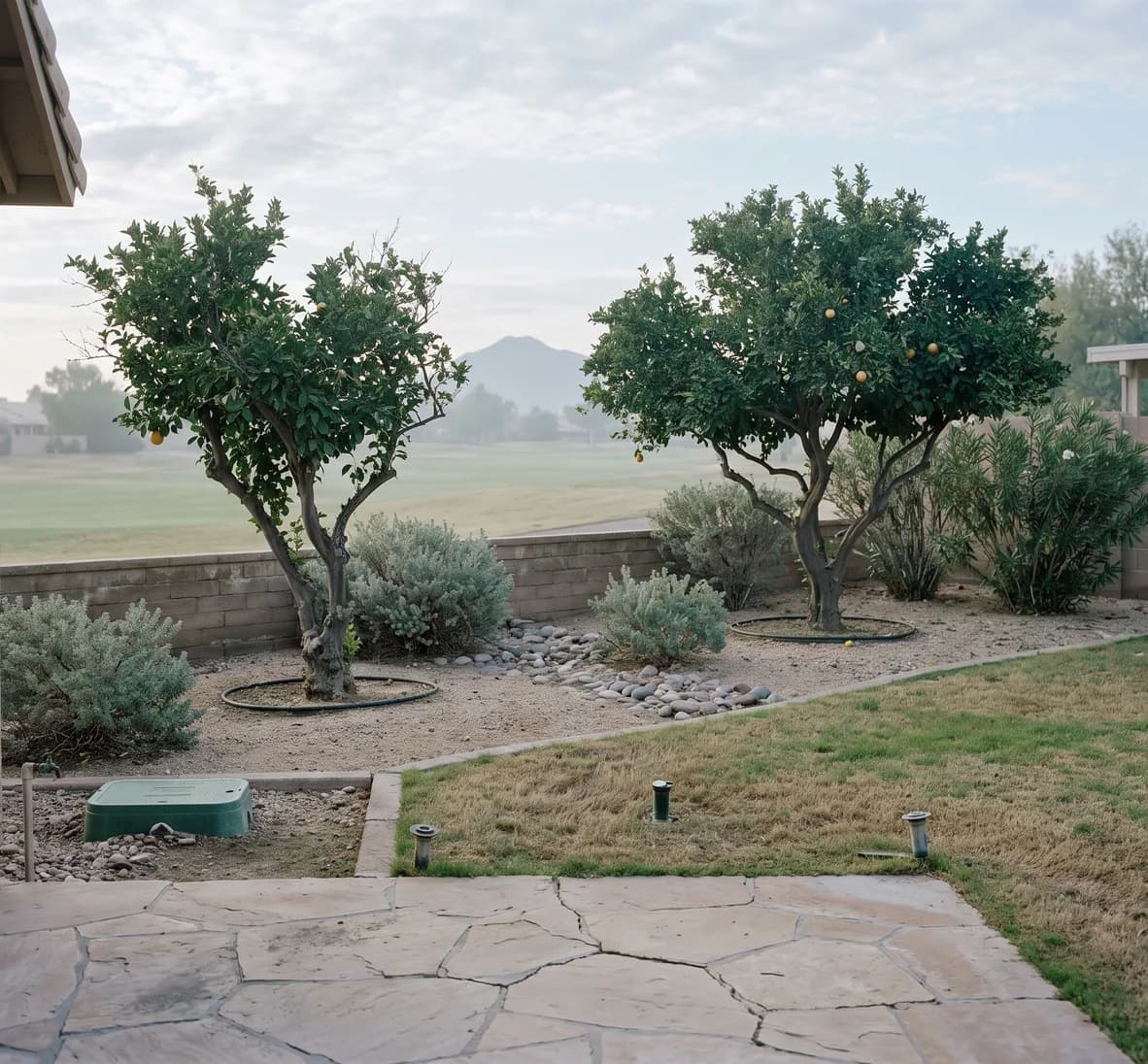Golf-course lot laid out in separate turf, shrub and citrus groups, plantings kept low to keep the fairway view open