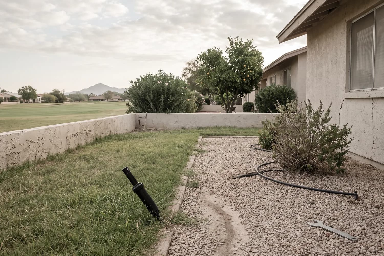 Tilted spray head, exposed drip line and washed silt in a Sun City back yard after the monsoon