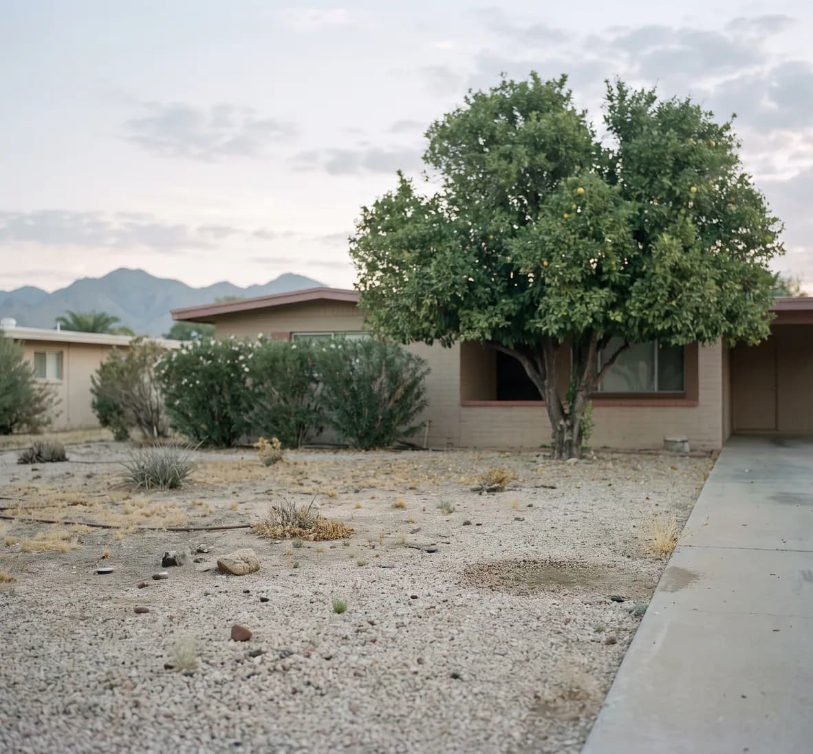 Dry Sun City front yard with every sprinkler off and one small damp patch near the buried line